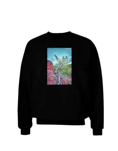 CO Cliffside Tree Adult Dark Sweatshirt-Sweatshirts-TooLoud-Black-Small-Davson Sales