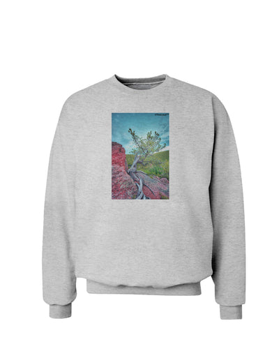 CO Cliffside Tree Sweatshirt-Sweatshirts-TooLoud-AshGray-Small-Davson Sales