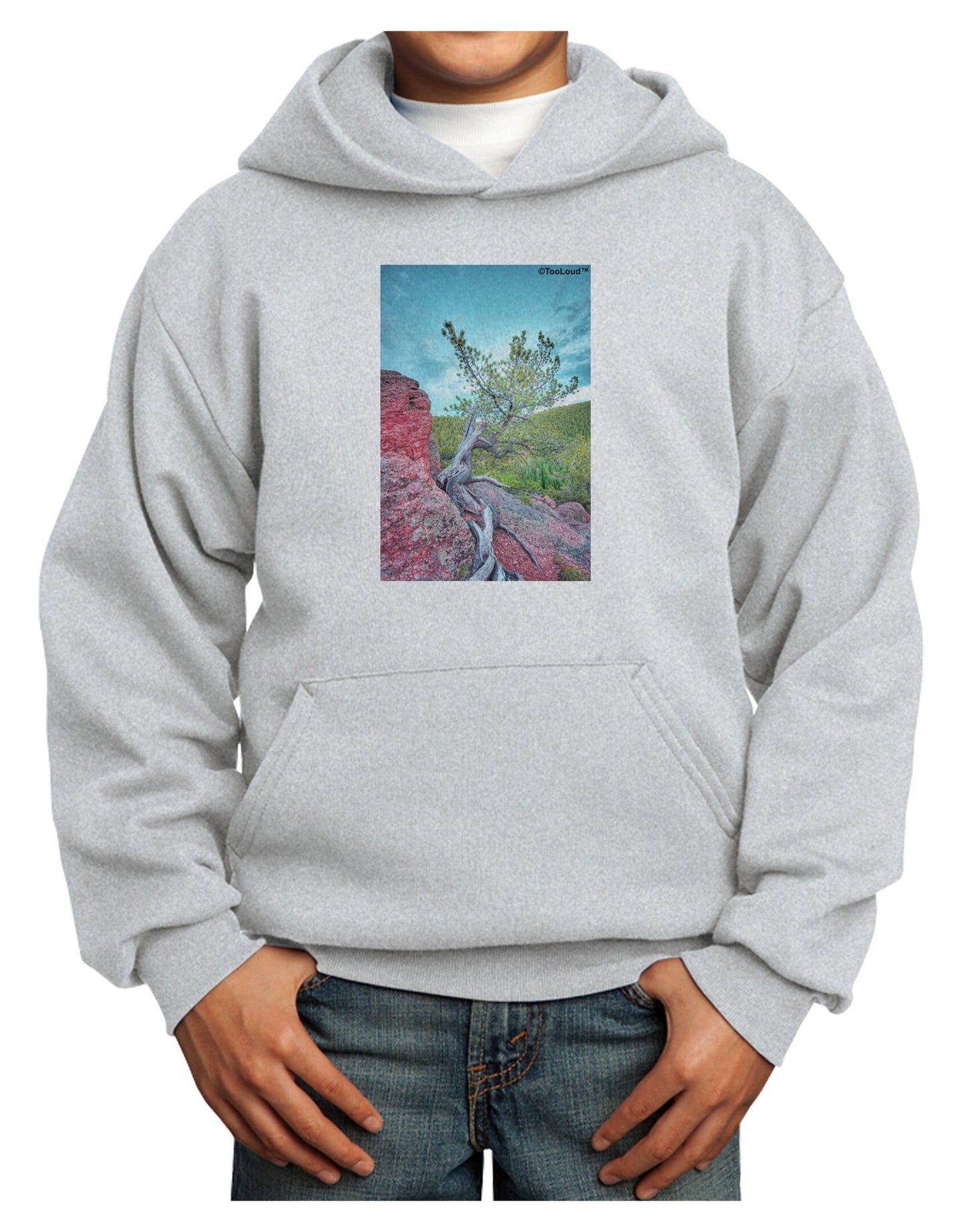 CO Cliffside Tree Youth Hoodie Pullover Sweatshirt-Youth Hoodie-TooLoud-Ash-XS-Davson Sales