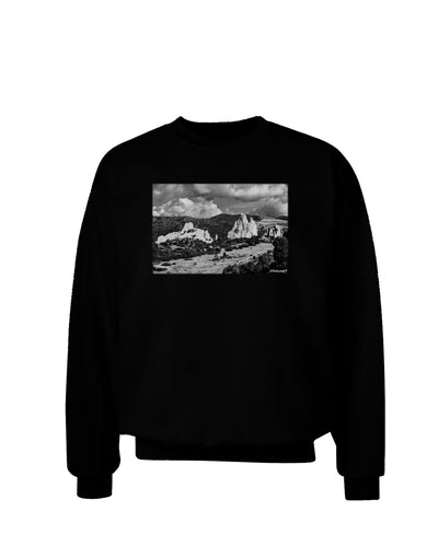 CO Mountain Forest Scene Adult Dark Sweatshirt-Sweatshirt-TooLoud-Black-Small-Davson Sales