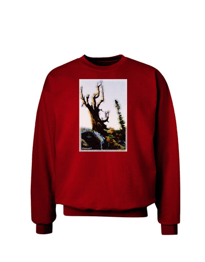 CO Mountain Scenery Watercolor Adult Dark Sweatshirt-Sweatshirts-TooLoud-Deep-Red-Small-Davson Sales