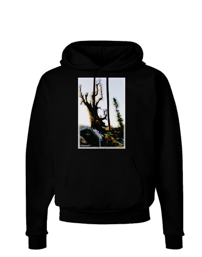 CO Mountain Scenery Watercolor Dark Hoodie Sweatshirt-Hoodie-TooLoud-Black-Small-Davson Sales