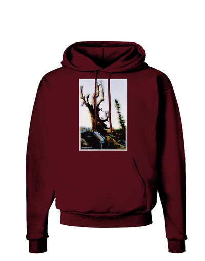 CO Mountain Scenery Watercolor Dark Hoodie Sweatshirt-Hoodie-TooLoud-Maroon-Small-Davson Sales