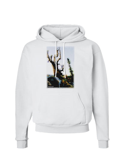 CO Mountain Scenery Watercolor Hoodie Sweatshirt-Hoodie-TooLoud-White-Small-Davson Sales