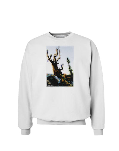 CO Mountain Scenery Watercolor Sweatshirt-Sweatshirts-TooLoud-White-Small-Davson Sales