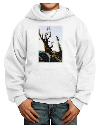 CO Mountain Scenery Watercolor Youth Hoodie Pullover Sweatshirt-Youth Hoodie-TooLoud-White-XS-Davson Sales