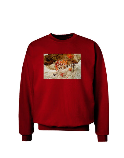 CO Painted Mines Adult Dark Sweatshirt-Sweatshirts-TooLoud-Deep-Red-Small-Davson Sales