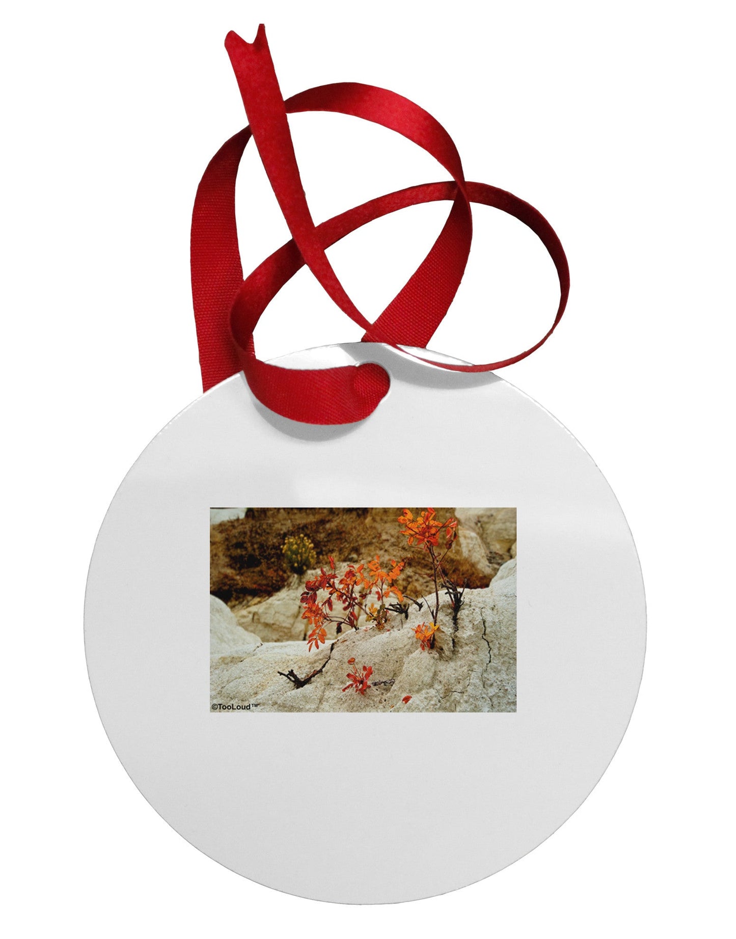 CO Painted Mines Circular Metal Ornament-Ornament-TooLoud-White-Davson Sales