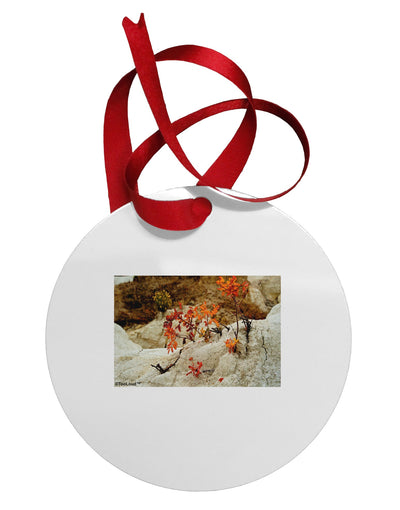 CO Painted Mines Circular Metal Ornament-Ornament-TooLoud-White-Davson Sales