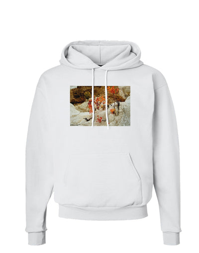 CO Painted Mines Hoodie Sweatshirt-Hoodie-TooLoud-White-Small-Davson Sales