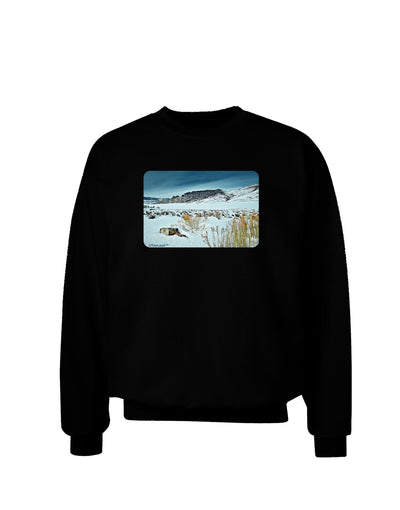 CO Snow Scene Adult Dark Sweatshirt-Sweatshirts-TooLoud-Black-Small-Davson Sales