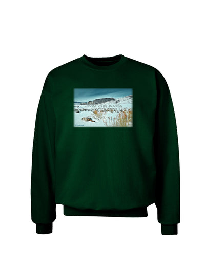 CO Snow Scene Text Adult Dark Sweatshirt-Sweatshirts-TooLoud-Deep-Forest-Green-Small-Davson Sales