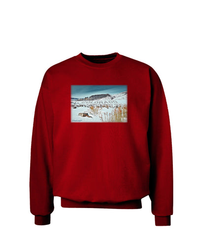 CO Snow Scene Text Adult Dark Sweatshirt-Sweatshirts-TooLoud-Deep-Red-Small-Davson Sales