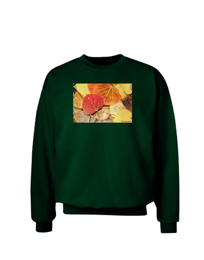 Colorado - Autumn Adult Dark Sweatshirt-Sweatshirts-TooLoud-Deep-Forest-Green-Small-Davson Sales