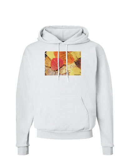 Colorado - Autumn Hoodie Sweatshirt-Hoodie-TooLoud-White-Small-Davson Sales