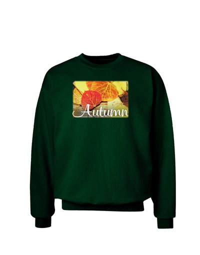 Colorado - Autumn Text Adult Dark Sweatshirt-Sweatshirts-TooLoud-Deep-Forest-Green-Small-Davson Sales