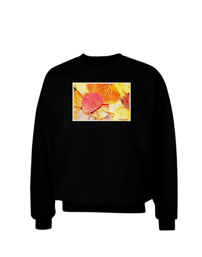 Colorado - Autumn WaterColor Adult Dark Sweatshirt-Sweatshirts-TooLoud-Black-Small-Davson Sales