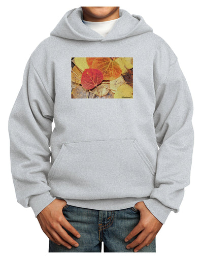 Colorado - Autumn Youth Hoodie Pullover Sweatshirt-Youth Hoodie-TooLoud-Ash-XS-Davson Sales