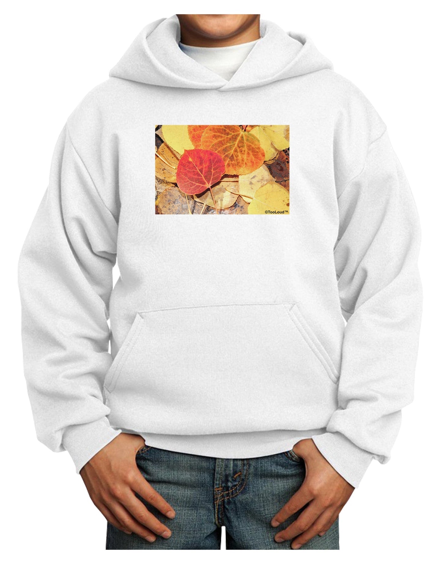 Colorado - Autumn Youth Hoodie Pullover Sweatshirt-Youth Hoodie-TooLoud-White-XS-Davson Sales