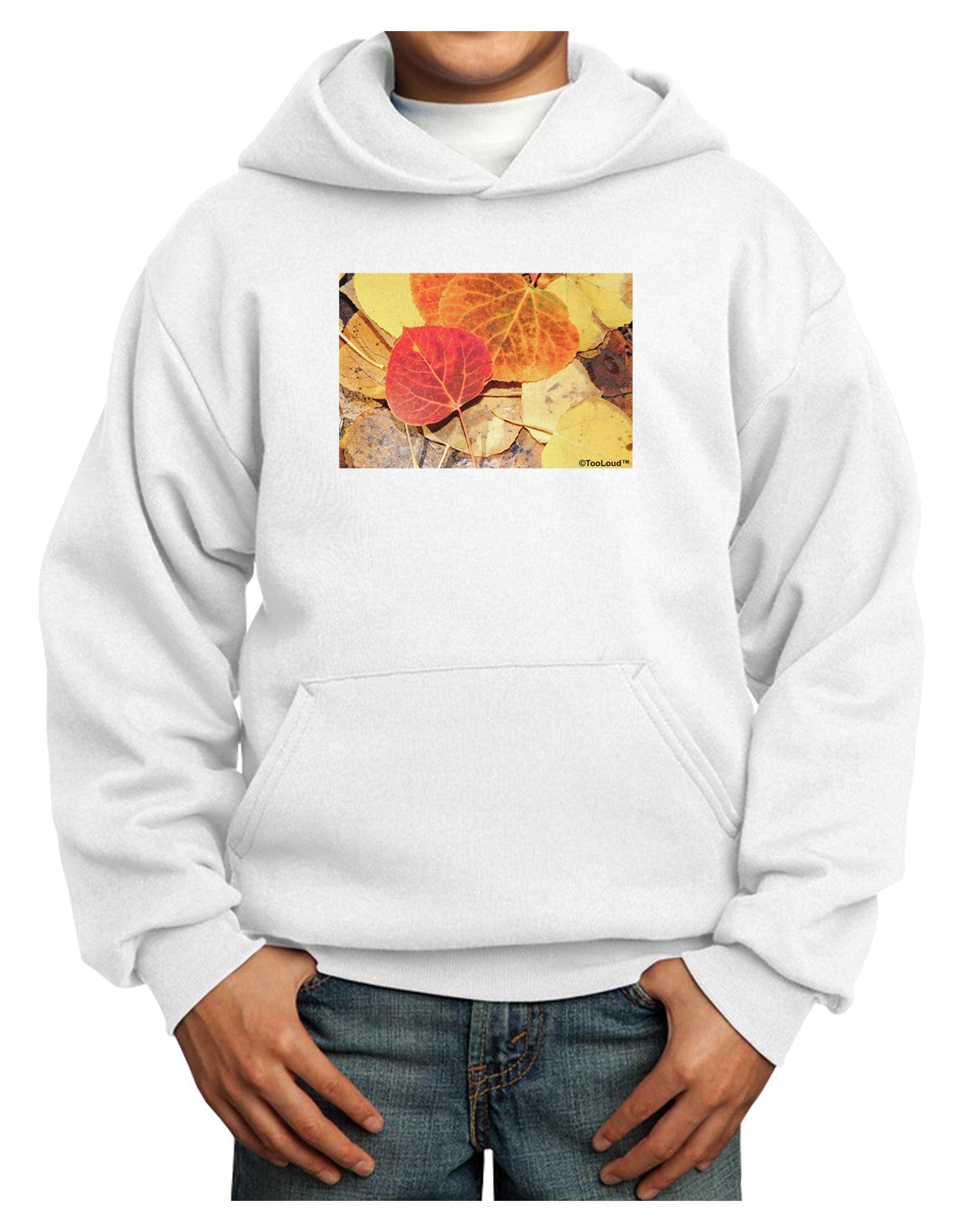 Colorado - Autumn Youth Hoodie Pullover Sweatshirt-Youth Hoodie-TooLoud-White-XS-Davson Sales