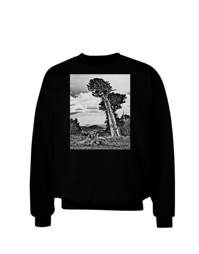 Colorado Landscape Monochrome Adult Dark Sweatshirt-Sweatshirts-TooLoud-Black-Small-Davson Sales