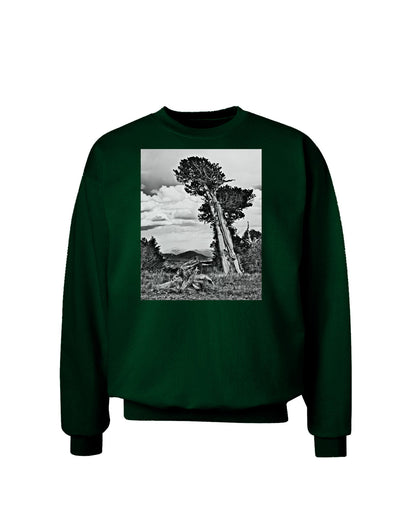 Colorado Landscape Monochrome Adult Dark Sweatshirt-Sweatshirts-TooLoud-Deep-Forest-Green-Small-Davson Sales