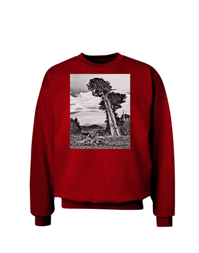 Colorado Landscape Monochrome Adult Dark Sweatshirt-Sweatshirts-TooLoud-Deep-Red-Small-Davson Sales