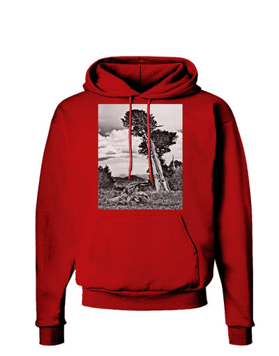 Colorado Landscape Monochrome Dark Hoodie Sweatshirt-Hoodie-TooLoud-Red-Small-Davson Sales