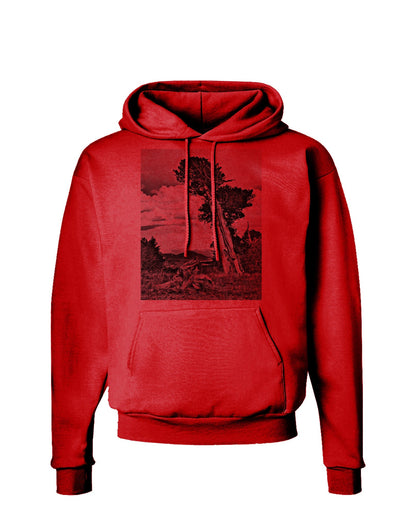 Colorado Landscape Monochrome Hoodie Sweatshirt-Hoodie-TooLoud-Red-Small-Davson Sales