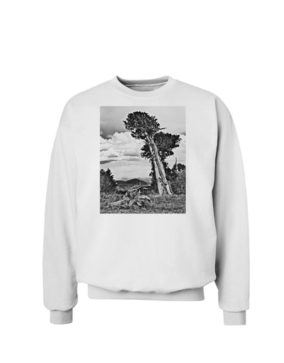 Colorado Landscape Monochrome Sweatshirt-Sweatshirts-TooLoud-White-Small-Davson Sales