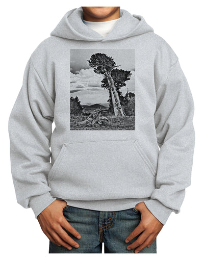 Colorado Landscape Monochrome Youth Hoodie Pullover Sweatshirt-Youth Hoodie-TooLoud-Ash-XS-Davson Sales