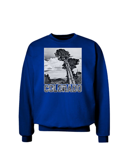 Colorado Landscape Text BW Adult Dark Sweatshirt-Sweatshirts-TooLoud-Deep-Royal-Blue-Small-Davson Sales