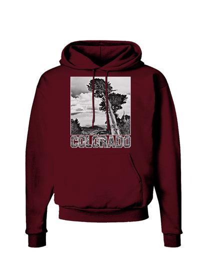 Colorado Landscape Text BW Dark Hoodie Sweatshirt-Hoodie-TooLoud-Maroon-Small-Davson Sales