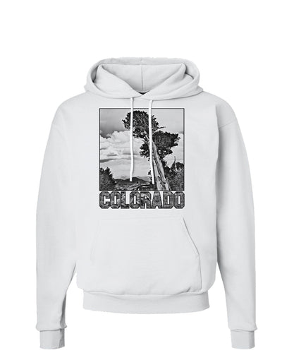 Colorado Landscape Text BW Hoodie Sweatshirt-Hoodie-TooLoud-White-Small-Davson Sales