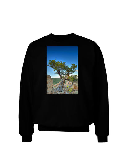 Colorado Landscape Tree Adult Dark Sweatshirt-Sweatshirts-TooLoud-Black-Small-Davson Sales