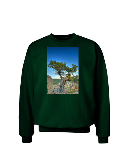 Colorado Landscape Tree Adult Dark Sweatshirt-Sweatshirts-TooLoud-Deep-Forest-Green-Small-Davson Sales