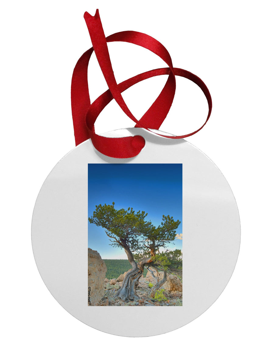 Colorado Landscape Tree Circular Metal Ornament-Ornament-TooLoud-White-Davson Sales