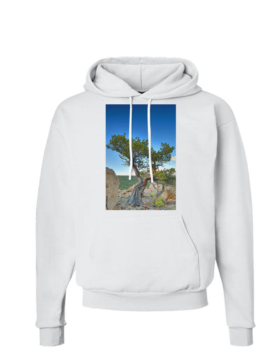 Colorado Landscape Tree Hoodie Sweatshirt-Hoodie-TooLoud-White-Small-Davson Sales