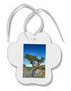 Colorado Landscape Tree Paw Print Shaped Ornament-Ornament-TooLoud-White-Davson Sales