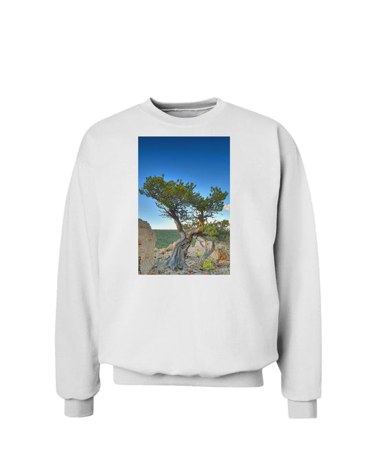 Colorado Landscape Tree Sweatshirt-Sweatshirts-TooLoud-White-Small-Davson Sales