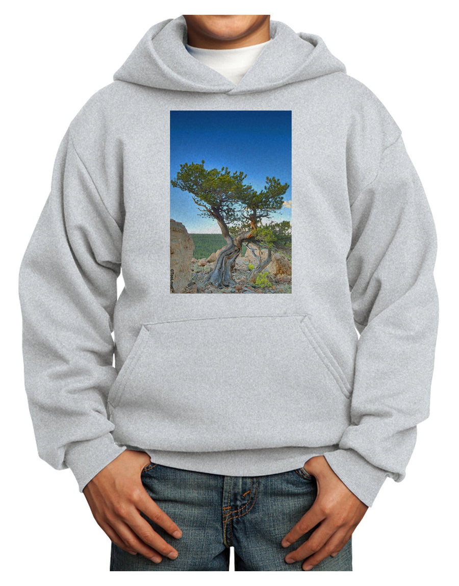 Colorado Landscape Tree Youth Hoodie Pullover Sweatshirt-Youth Hoodie-TooLoud-White-XS-Davson Sales