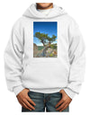 Colorado Landscape Tree Youth Hoodie Pullover Sweatshirt-Youth Hoodie-TooLoud-White-XS-Davson Sales