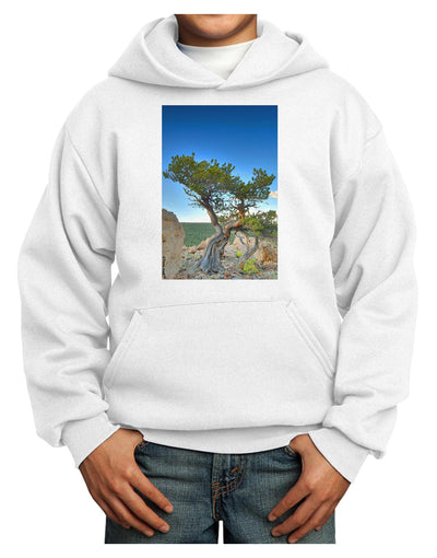 Colorado Landscape Tree Youth Hoodie Pullover Sweatshirt-Youth Hoodie-TooLoud-White-XS-Davson Sales