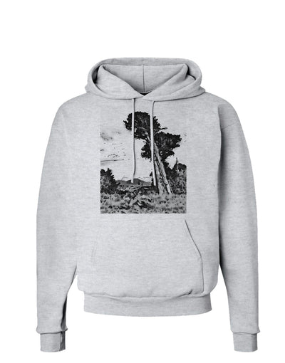 Colorado Landscape Watercolor BW Hoodie Sweatshirt-Hoodie-TooLoud-AshGray-Small-Davson Sales