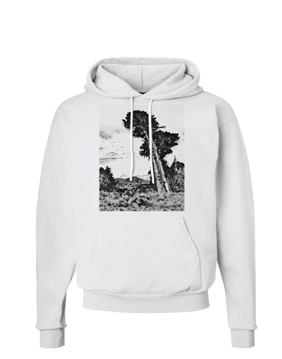 Colorado Landscape Watercolor BW Hoodie Sweatshirt-Hoodie-TooLoud-White-Small-Davson Sales