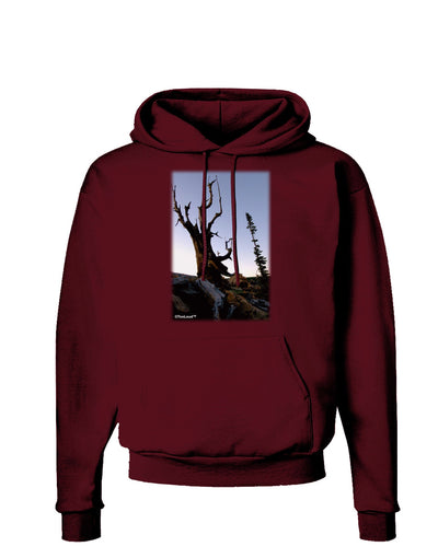 Colorado Mountain Scenery Dark Hoodie Sweatshirt-Hoodie-TooLoud-Maroon-Small-Davson Sales