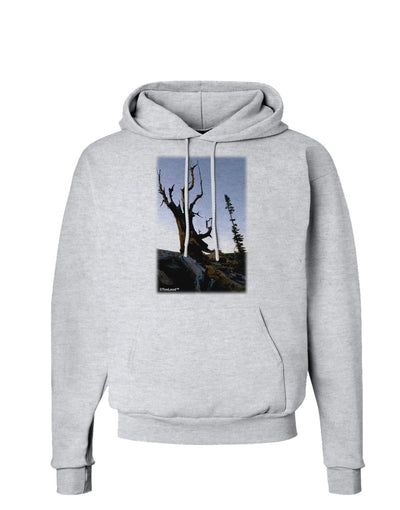 Colorado Mountain Scenery Hoodie Sweatshirt-Hoodie-TooLoud-AshGray-Small-Davson Sales