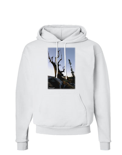 Colorado Mountain Scenery Hoodie Sweatshirt-Hoodie-TooLoud-White-Small-Davson Sales