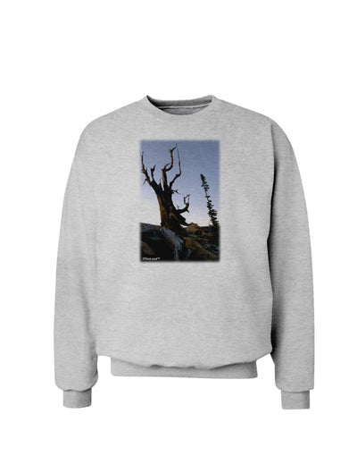 Colorado Mountain Scenery Sweatshirt-Sweatshirts-TooLoud-AshGray-Small-Davson Sales