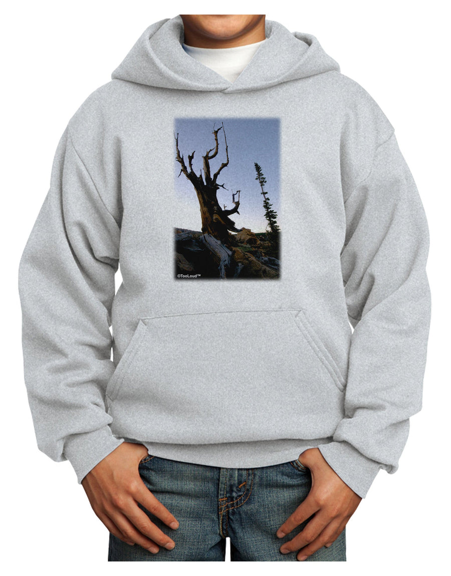 Colorado Mountain Scenery Youth Hoodie Pullover Sweatshirt-Youth Hoodie-TooLoud-White-XS-Davson Sales